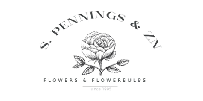 spennings-transparant-logo